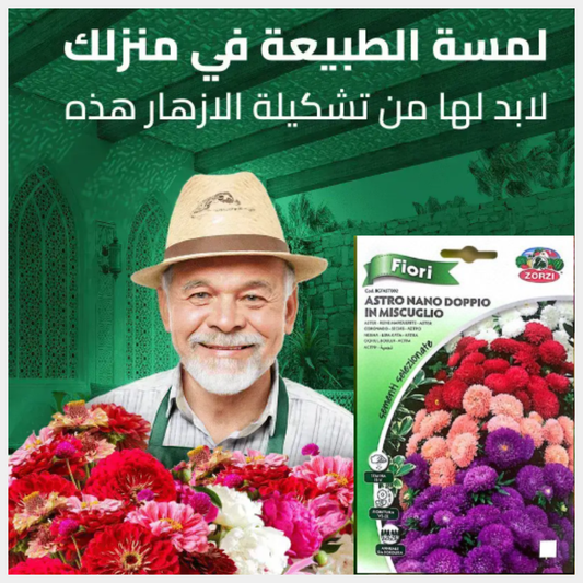 🌱 بذور الغيربيرا 🌿